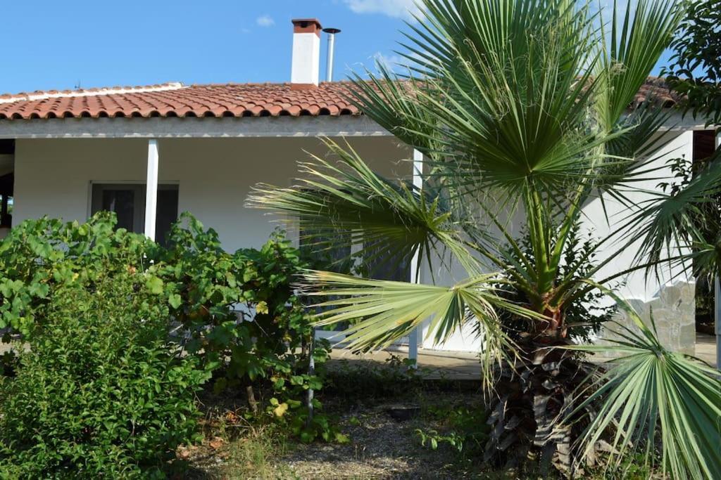 Litochoro Apartment In Estate A1 Exterior photo